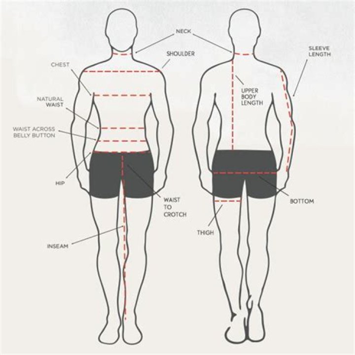The Ultimate Guide To Achieving The Perfect Torso To Leg Ratio
